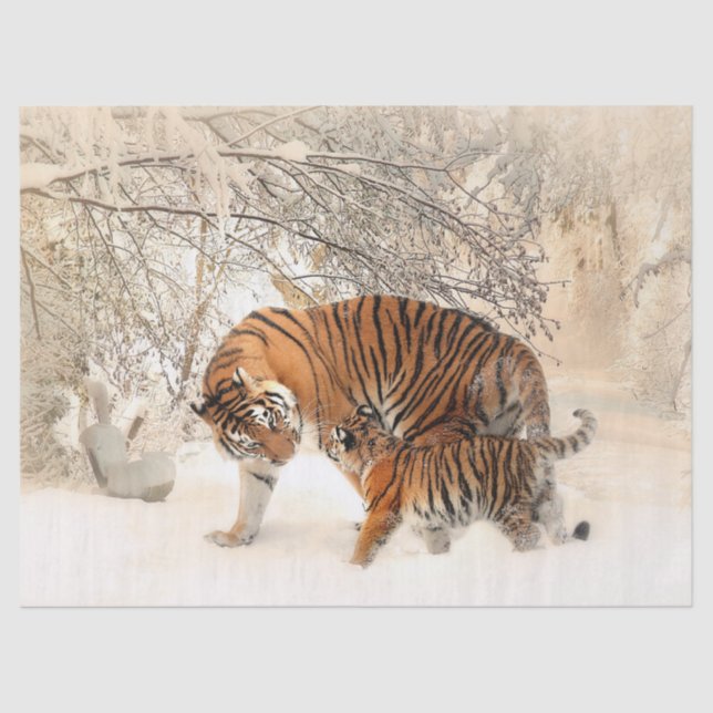 tiger mom and baby tissue paper (Front)