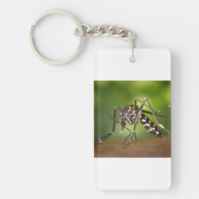 Tiger mosquito keychain (Front)