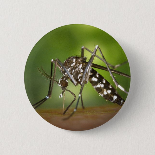Tiger mosquito pinback button (Front)