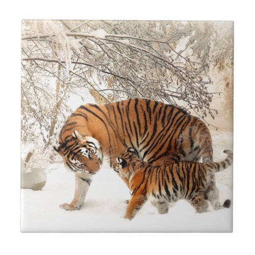 Tiger Mother and baby Tile