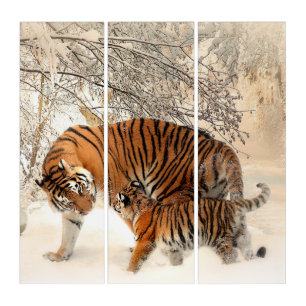 Tiger Mother and Cub AcryliPrint®HD Triptych Art