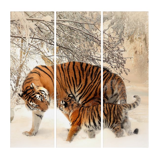 Tiger Mother and Cub AcryliPrint®HD Triptych Art (Front)