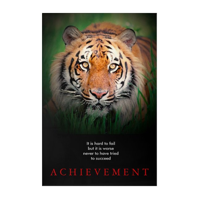 Tiger Motivational Achievement Acrylic Print (Front)