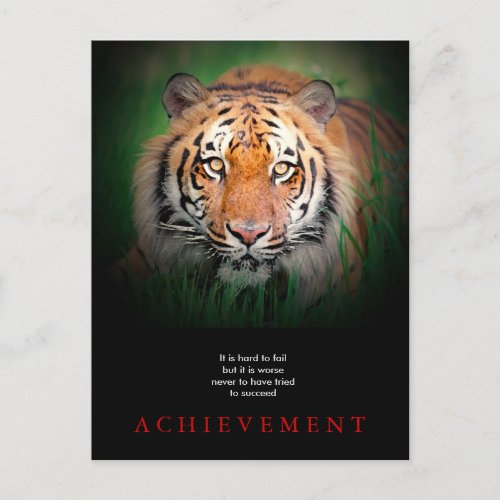 Tiger Motivational Achievement Postcard