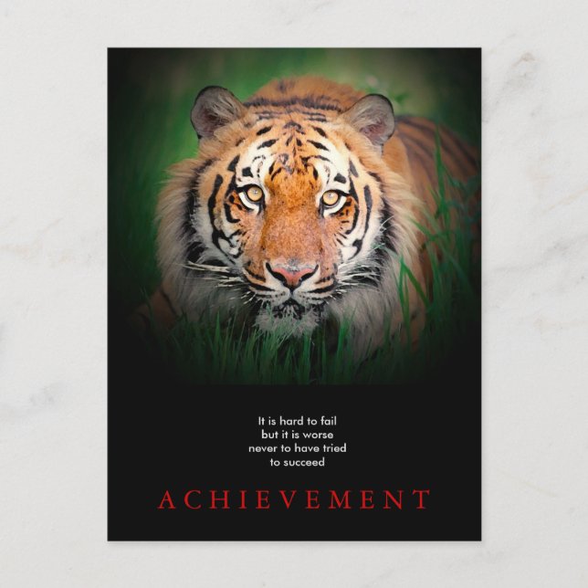 Tiger Motivational Achievement Postcard (Front)