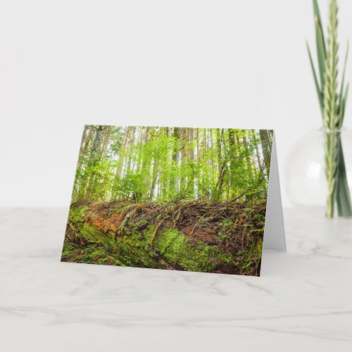 Tiger Mountain  Issaquah Washington State Card