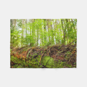 Tiger Mountain Issaquah, Washington State Fleece Blanket