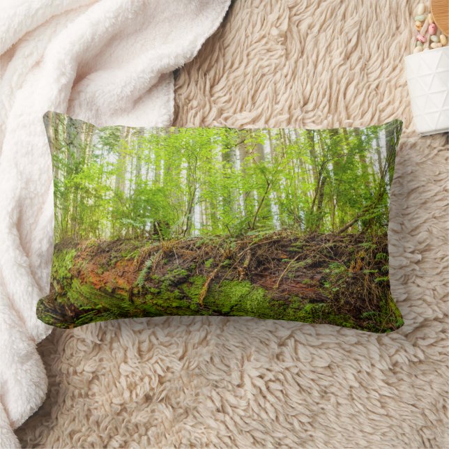 Tiger Mountain | Issaquah, Washington State Lumbar Pillow (Blanket)