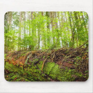 Tiger Mountain   Issaquah, Washington State Mouse Pad