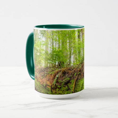 Tiger Mountain  Issaquah Washington State Mug