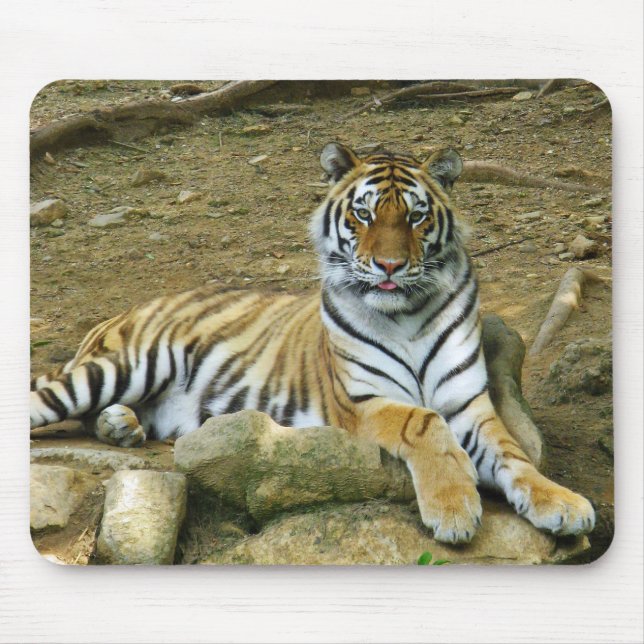 Tiger Mouse Pad (Front)