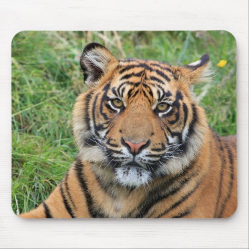 Tiger Mouse Pad