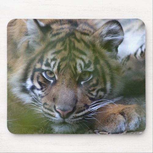 Tiger Mouse Pad
