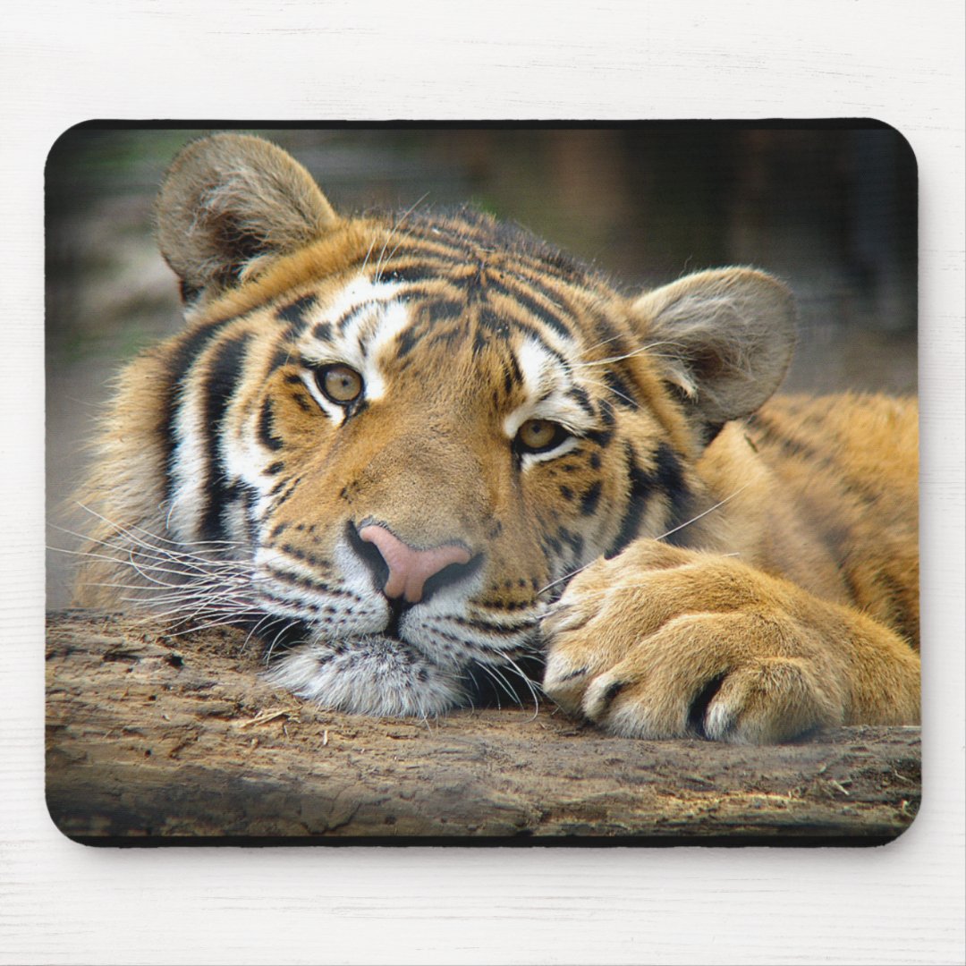 Tiger Mousepad | Zazzle