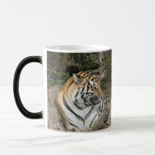 Tiger Mug
