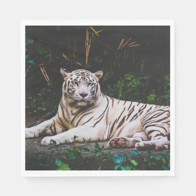 Tiger Napkins (Front)