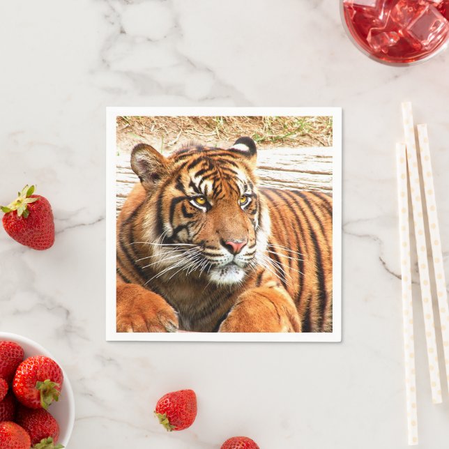 Tiger Napkins (Insitu)