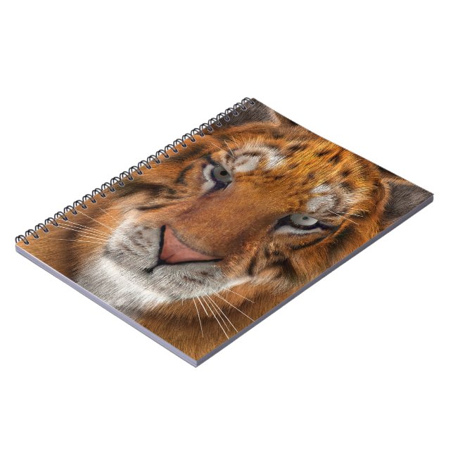 Tiger Notebook (Left Side)