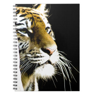 Tiger Notebook