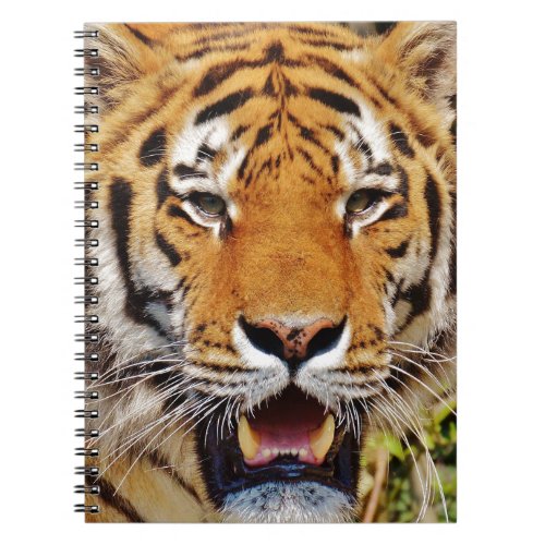 Tiger Notebook