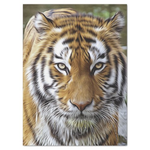 Tiger Oil Painting Tissue Paper