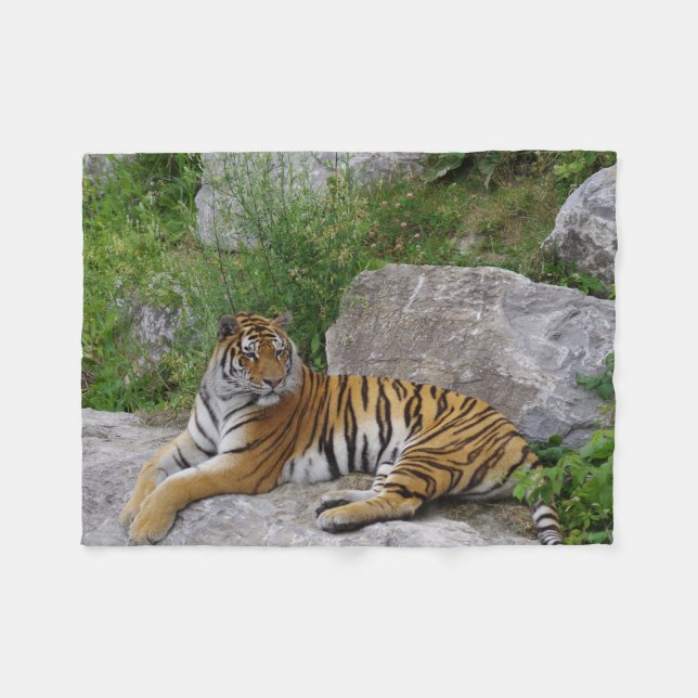Tiger on a rock fleece blanket (Front (Horizontal))