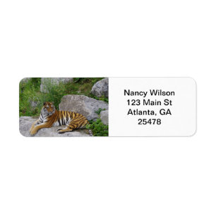 Tiger on a rock label