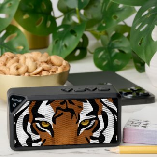 Tiger on Black