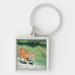 Tiger on path keychain