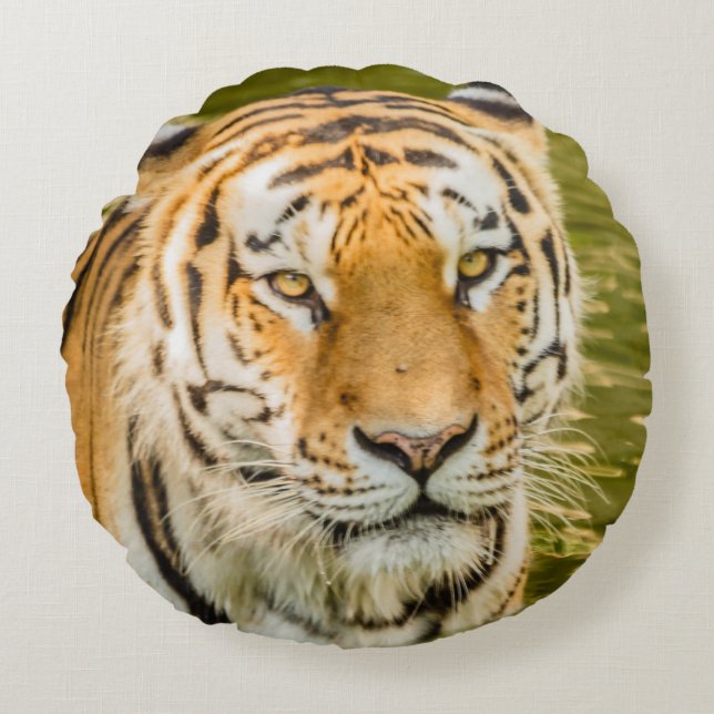 tiger on round pillow (Front)