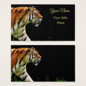 Tiger On the Prowl (Front & Back)