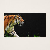 Tiger On the Prowl (Back)
