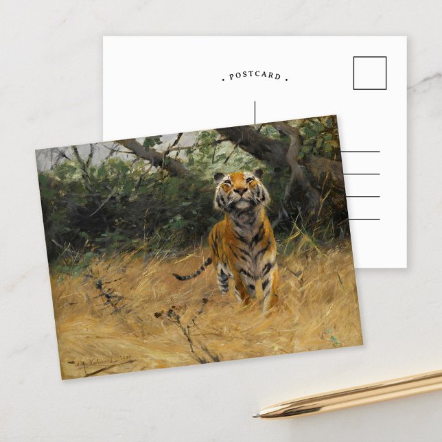 Tiger on The Watch | Wilhelm Kuhnert Postcard (Creator Uploaded)