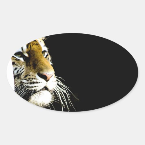 Tiger Oval Sticker