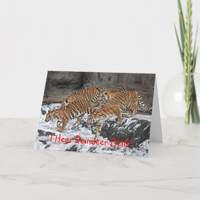 Tiger Pack Holiday Card (Front)