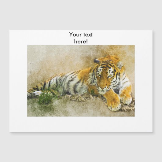 Tiger painting (Front)