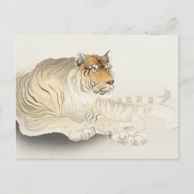 Tiger Painting by Ohara Koson Postcard (Front)