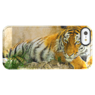 Tiger painting clear iPhone SE/5/5s case