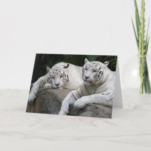 Tiger Pair Card