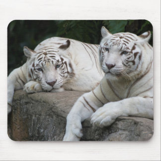 Tiger Pair Mouse Pad