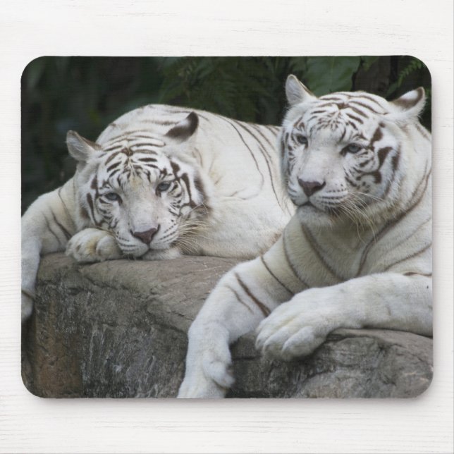 Tiger Pair Mouse Pad (Front)