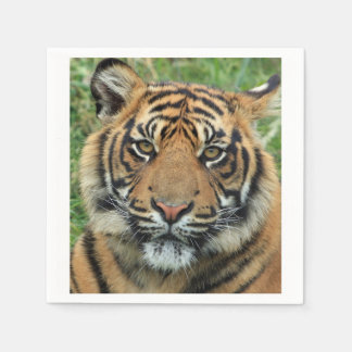 Tiger Paper Napkins