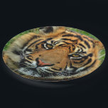 Tiger Paper Plates<br><div class="desc">Great for a tiger themed party. We also have gift wrap and several other party supplies available with this design. This is a gorgeous close up shot of a tiger. He looked so magnificent that I couldn't resist putting him on several products. Image courtesy of Karen Arnold, editing done by...</div>