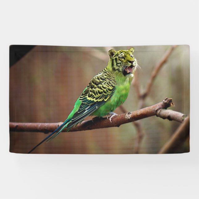 Tiger Parakeet Banner (Horizontal)