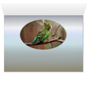 Tiger Parakeet Cards (Inside Horizontal (Bottom))