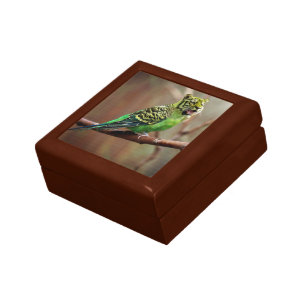Tiger Parakeet Jewelry Box