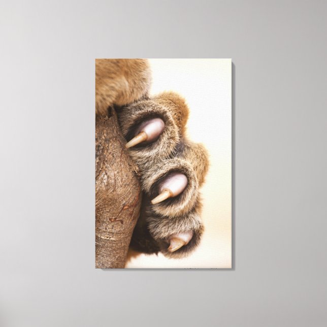 Tiger paw canvas print (Front)