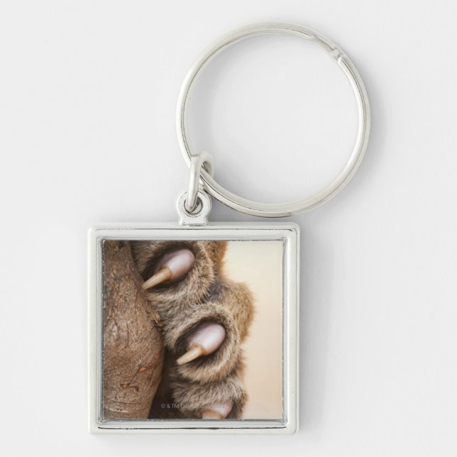 Tiger paw keychain (Front)