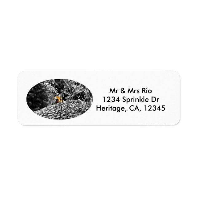 Tiger Peek-a-boo Address Label (Front)