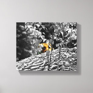 Tiger Peek-a-boo Canvas 10x8 Print